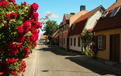 Blumen und bunte Häuser an einer gepflasterten Straße bei Sonnenschein.
