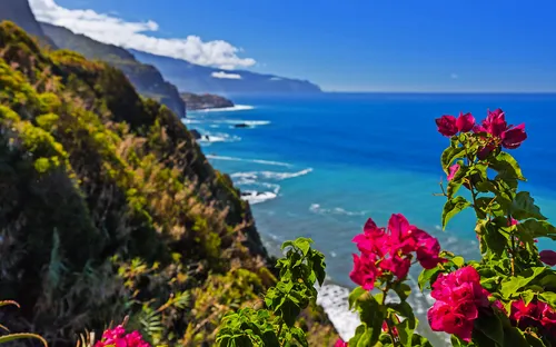 Klippenküste mit blühenden roten Bougainvilleen am blauen Meer.