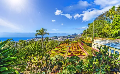 Botanischer Garten mit Blick auf das Meer und die Stadt Madeira bei Sonnenschein.