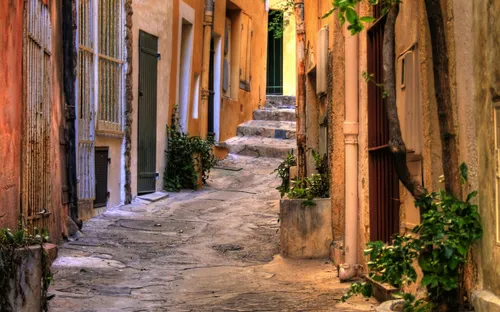 Malerische enge Gasse mit Bäumen und alten Gebäuden