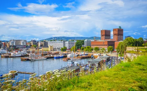 Blick auf die Küste mit Hafen, Gebäuden und grünem Hügel im Vordergrund.