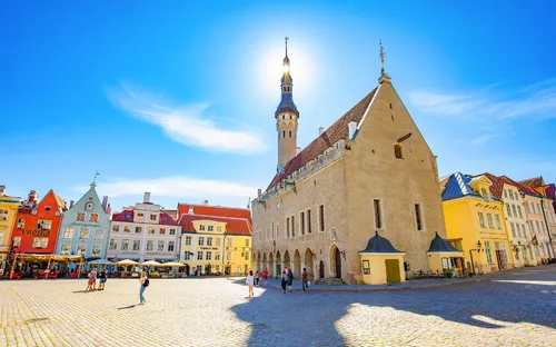 Panoramablick auf den Hallenplatz in Tallinn mit der Altstadt und dem Rathaus bei sonnigem Wetter.